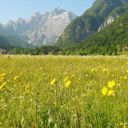 Affittacamere Krajnc Malborghetto Valbruna Zewnętrze zdjęcie